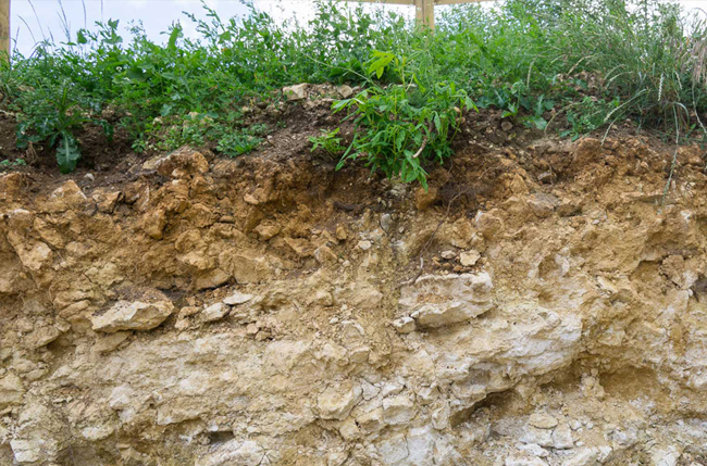 Soil profile at Woodchester